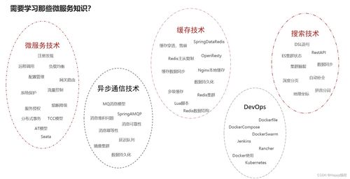 微服務全景圖及其學習內容 聚焦互聯網接入相關服務